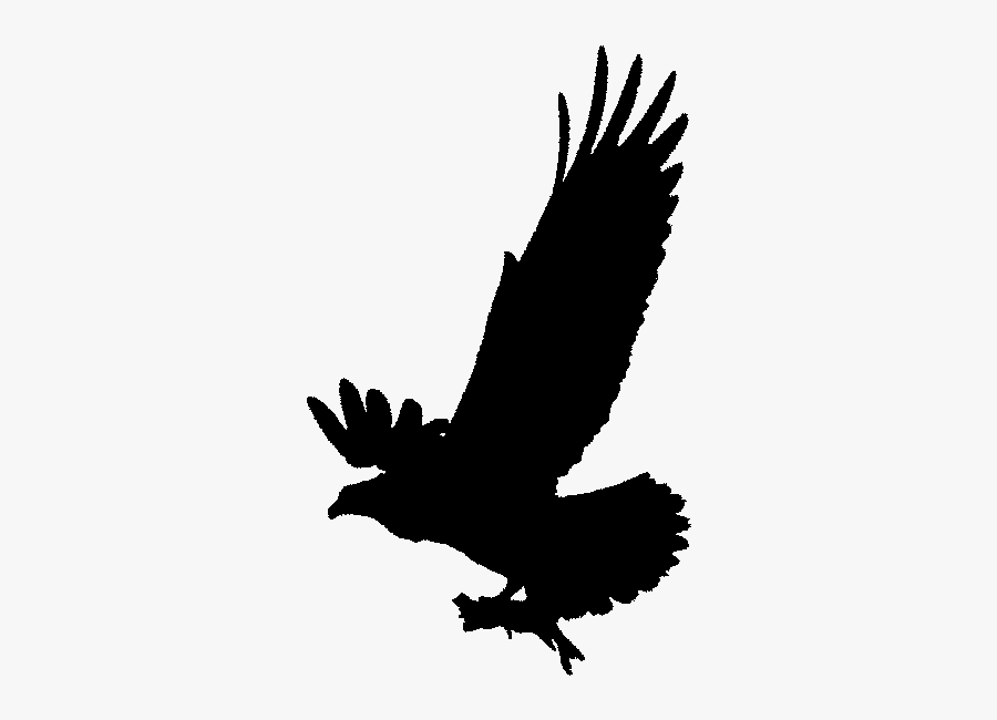 Osprey Clip Art, Transparent Clipart