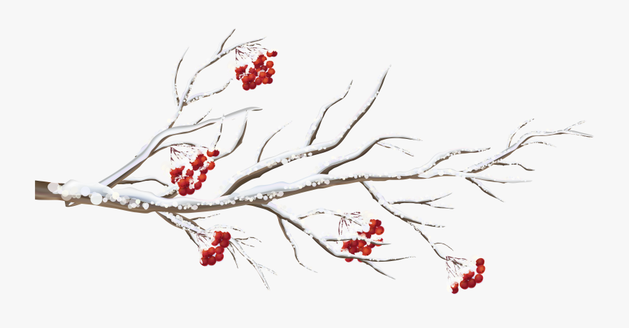 Clipart Tree Winter - Winter Tree Branch Clipart, Transparent Clipart