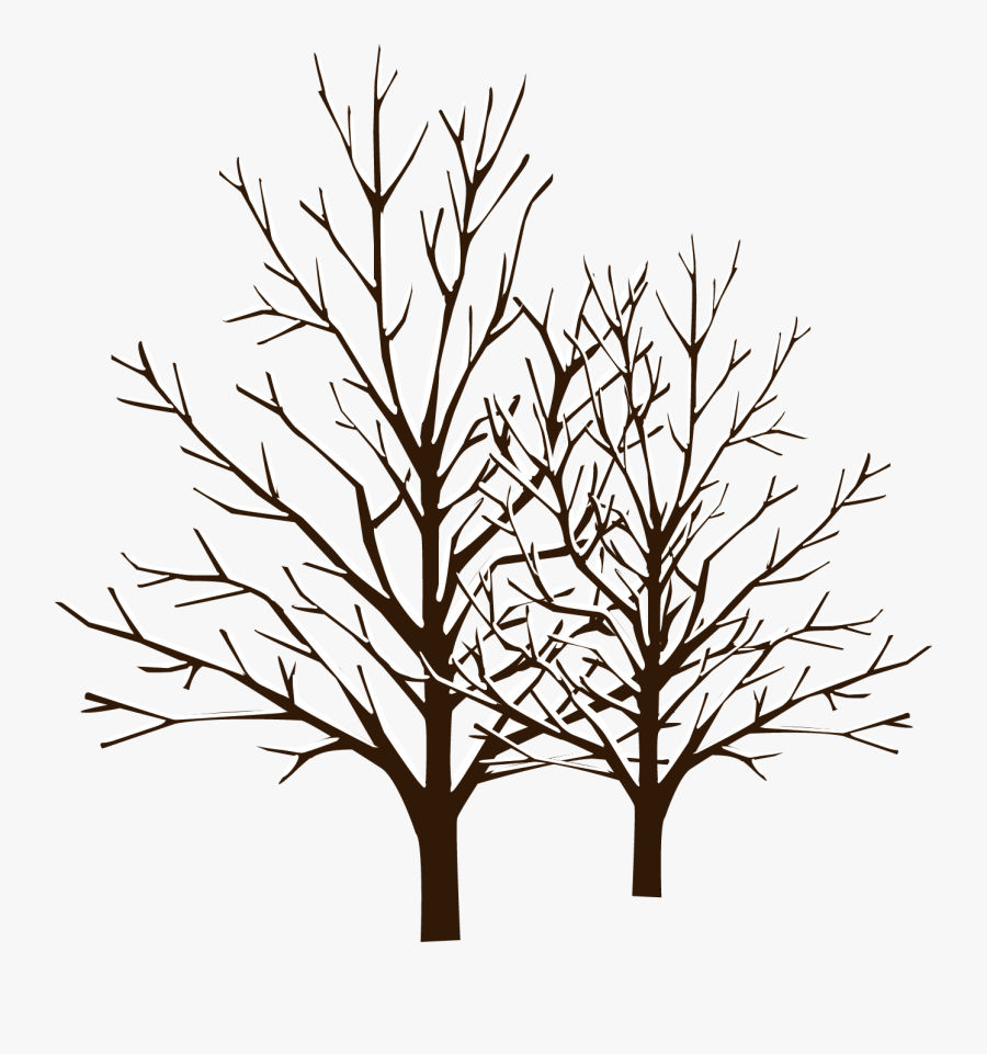 Snow Winter Tree - Vector Winter Tree, Transparent Clipart