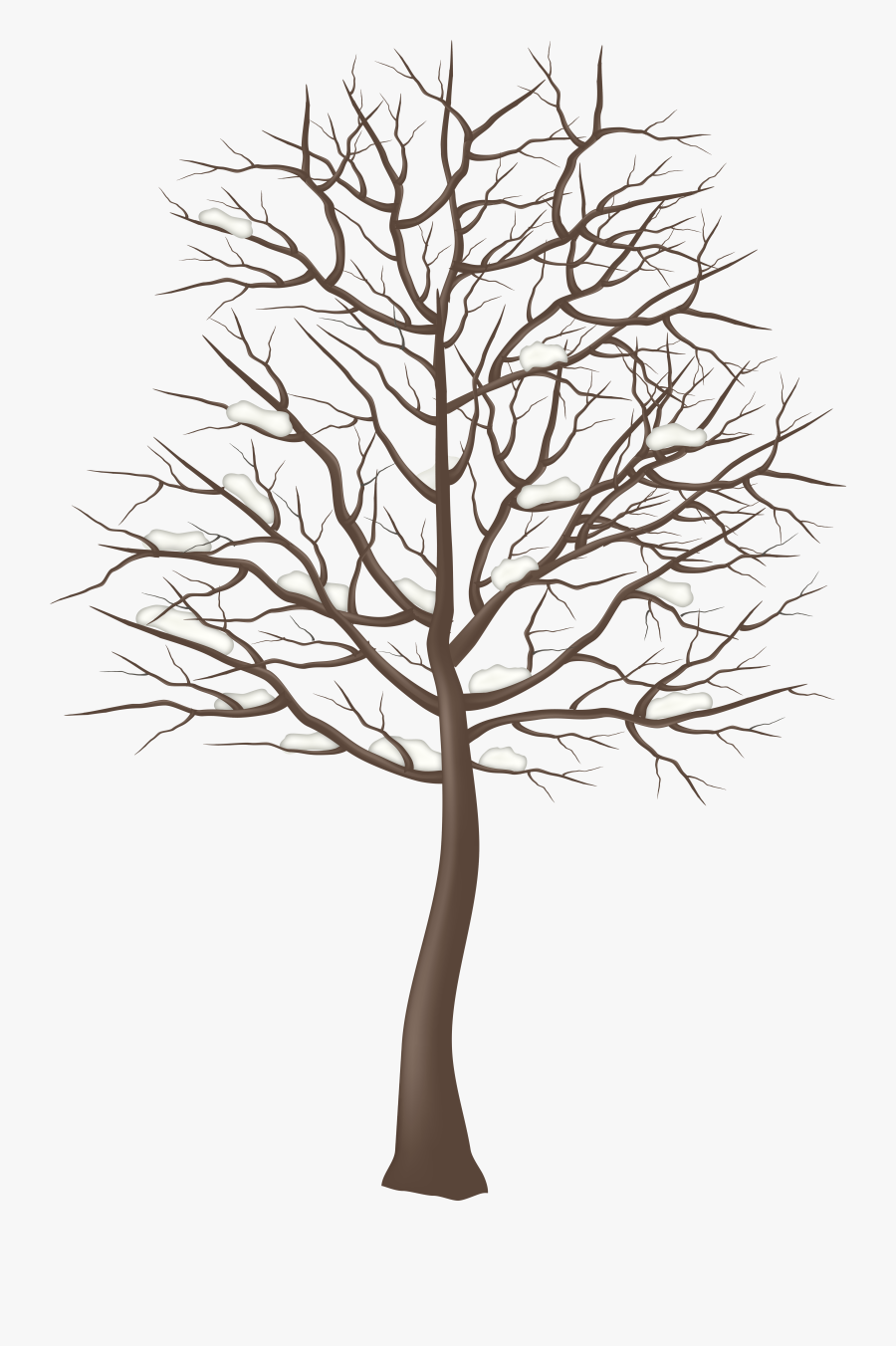 Transparent Winter Trees Clipart, Transparent Clipart