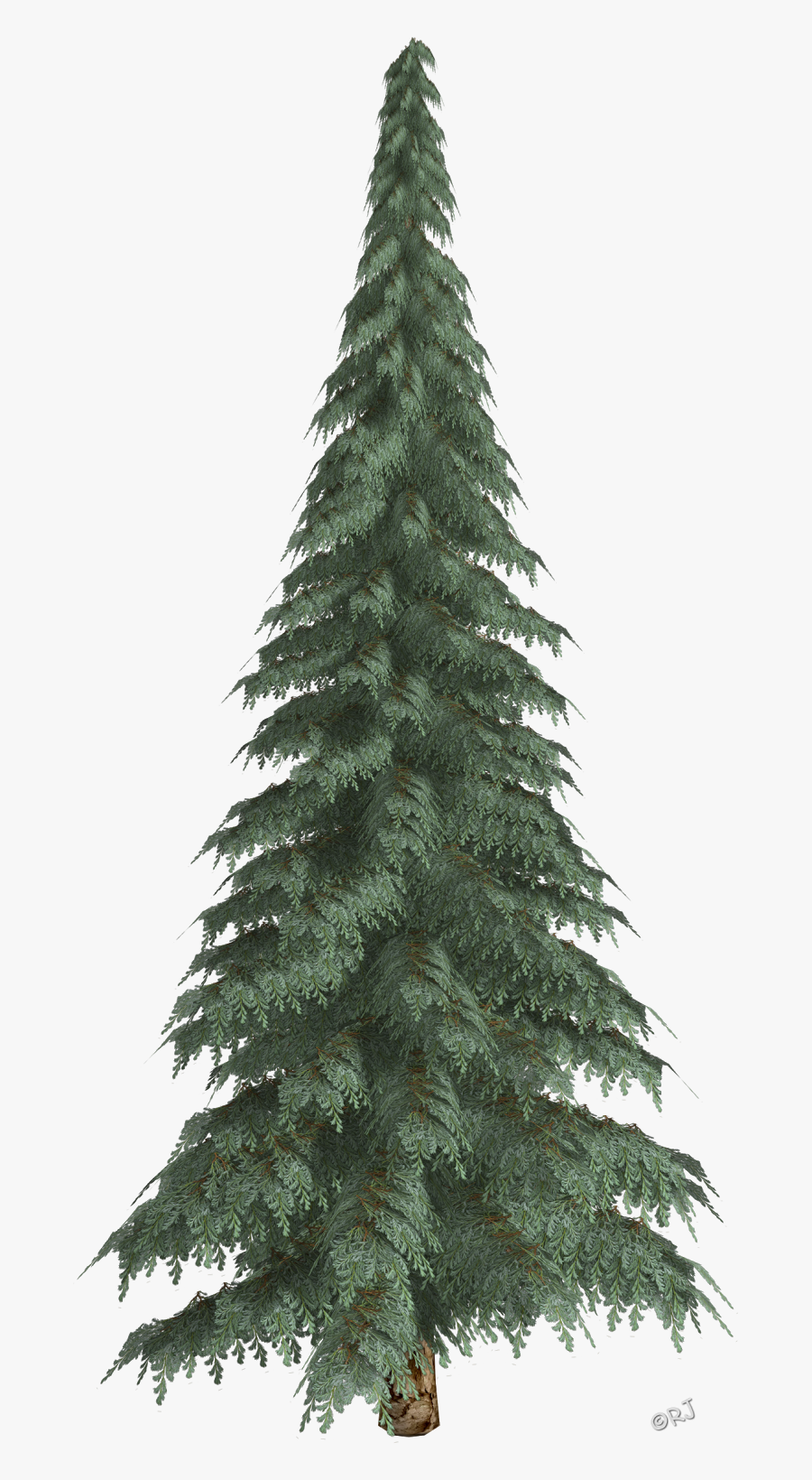 Transparent Snow Trees Png - Christmas Tree, Transparent Clipart