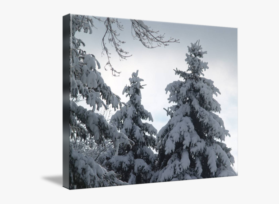 Clip Art Buried In By Mike - Snow, Transparent Clipart