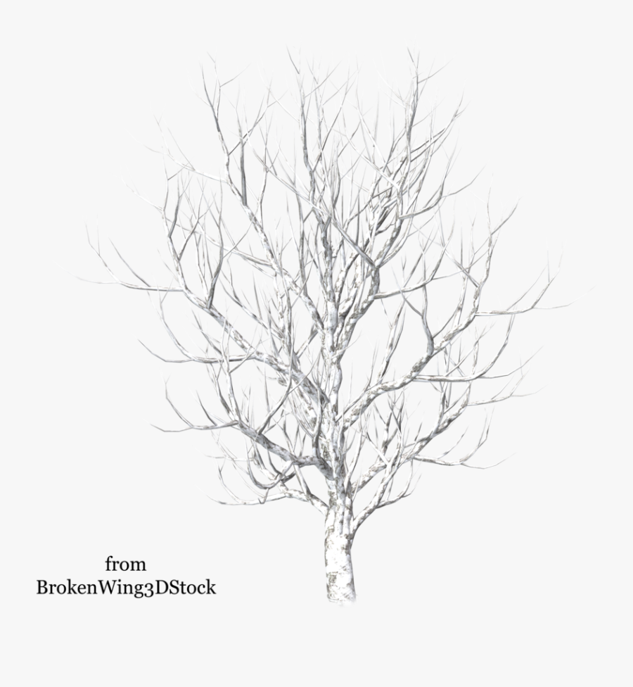 Tree In Drawing At - Winter Snow Tree Png, Transparent Clipart