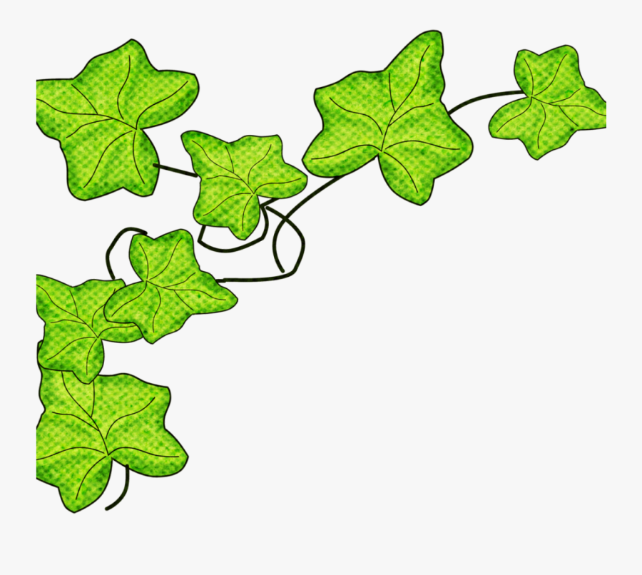 Png Download , Png Download - Vigne Dessin Transparent, Transparent Clipart