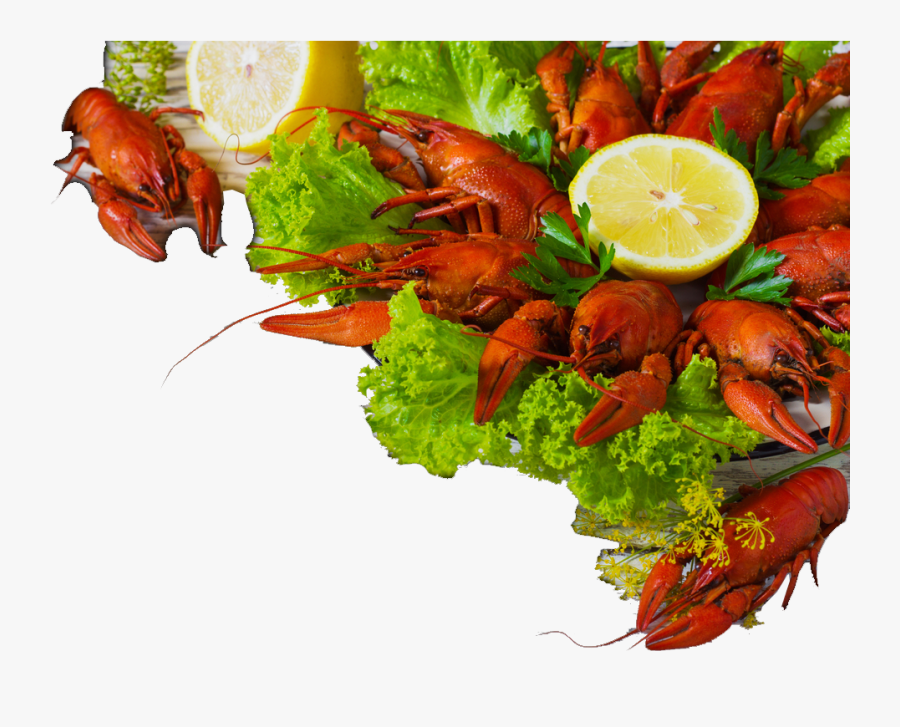 Crawfish Boil Clipart, Transparent Clipart