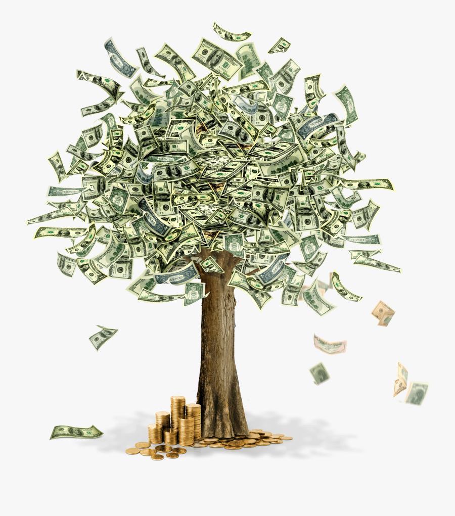 24 Money Tree Png Image - Money Tree With Dollars, Transparent Clipart