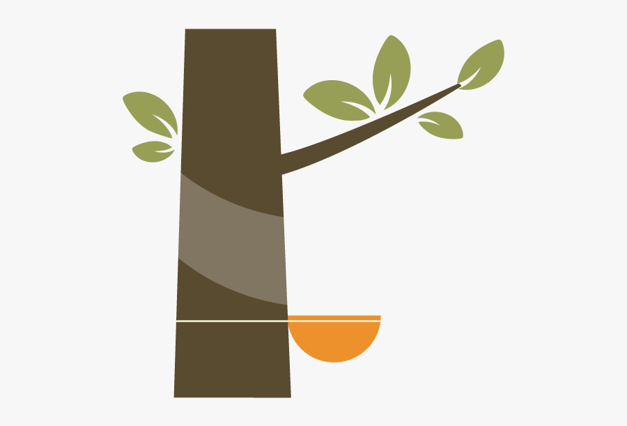 Sustainability - Graphic Design, Transparent Clipart