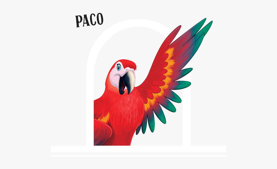 To Peru Vbs By - Passport To Peru Animals, Transparent Clipart