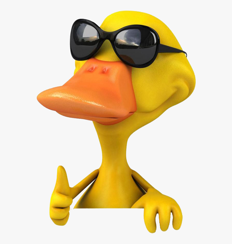 Photography Stock 3d Duck Free Frame Clipart - Png 3d, Transparent Clipart