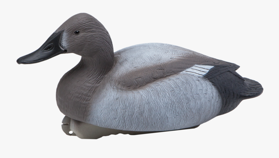 Mallard Goose Decoy Canvasback Duck - Greater Scaup, Transparent Clipart