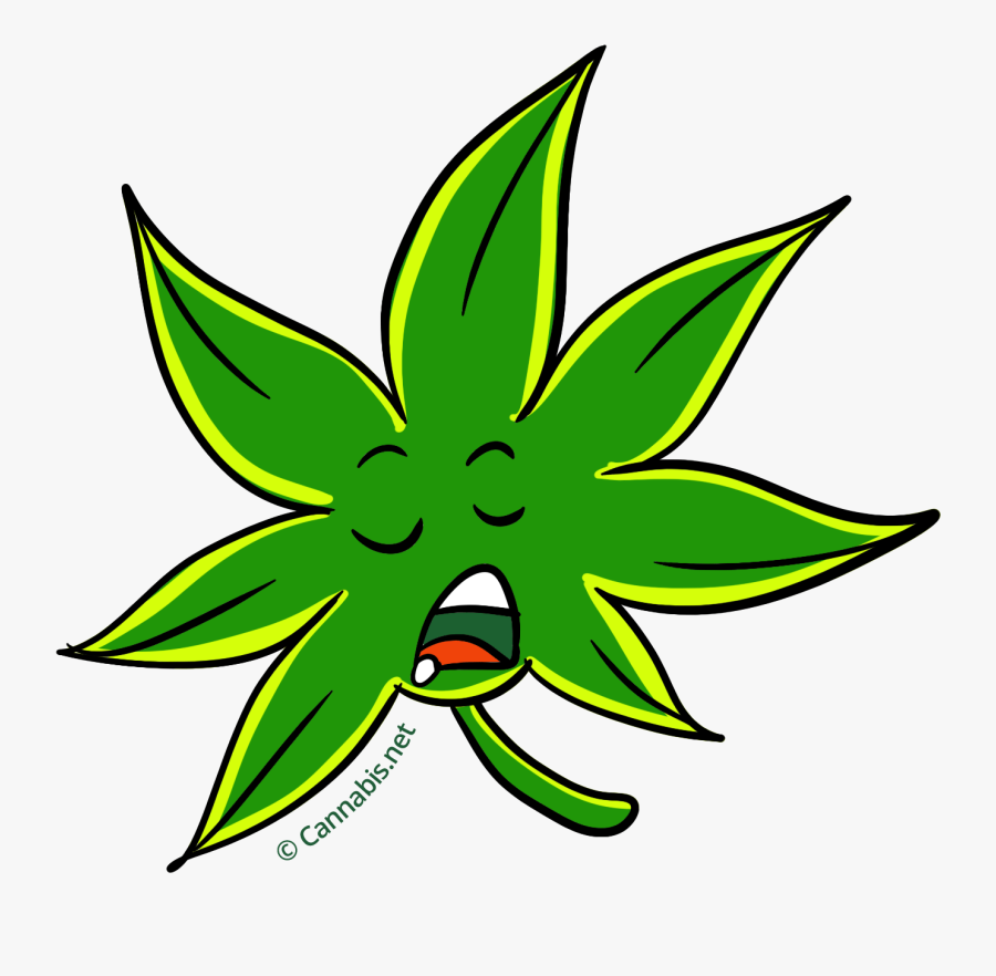 Transparent Marijuana Plant Clipart, free clipart download, png, clipart , ...