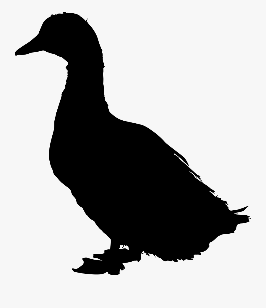 Clip Art File On Yeadon Tarn - Duck Silhouette Png, Transparent Clipart
