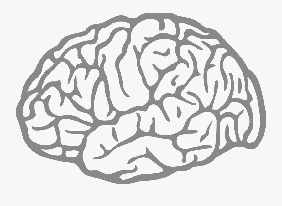 Brain Agy Fatigue - Png Black And White Brain, Transparent Clipart