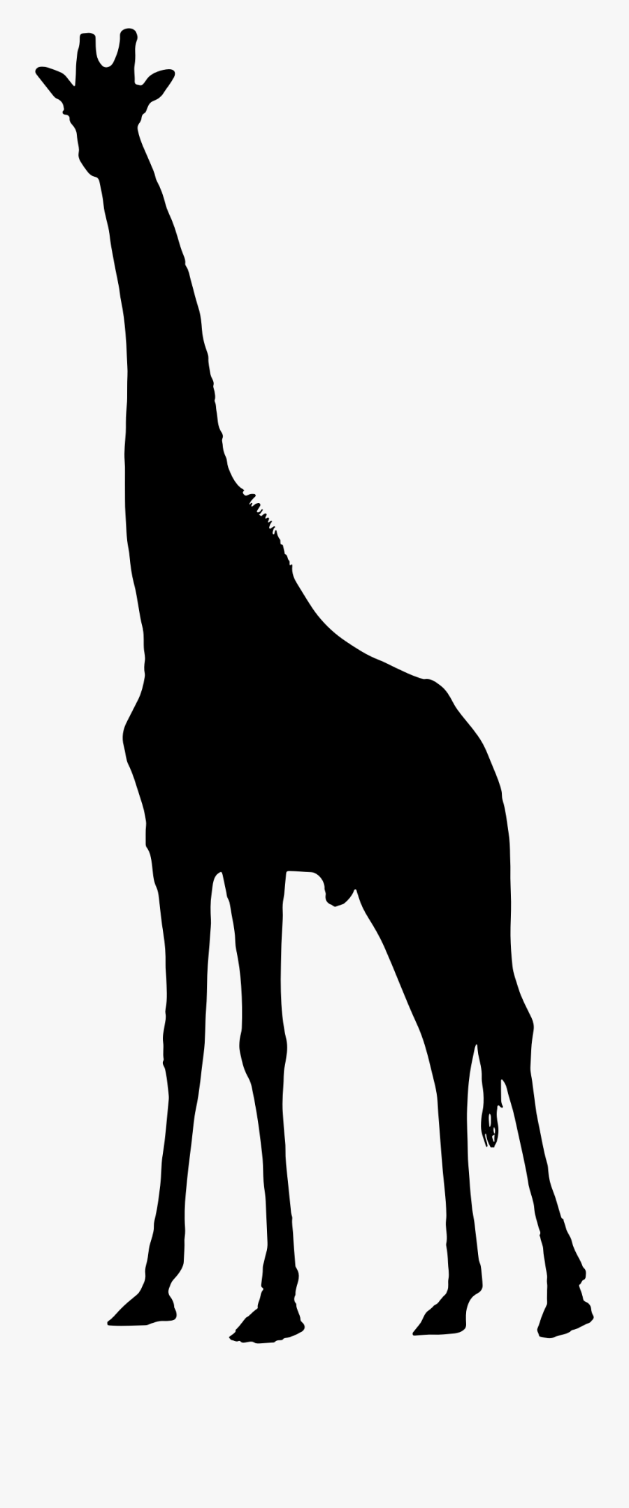 Transparent Giraffe Clipart Png - Giraffe Animal Silhouettes Png, Transparent Clipart