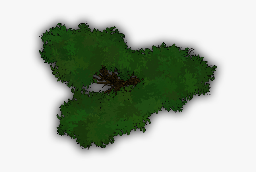 Leaves,leaf,summer] - Tree - Tree, Transparent Clipart