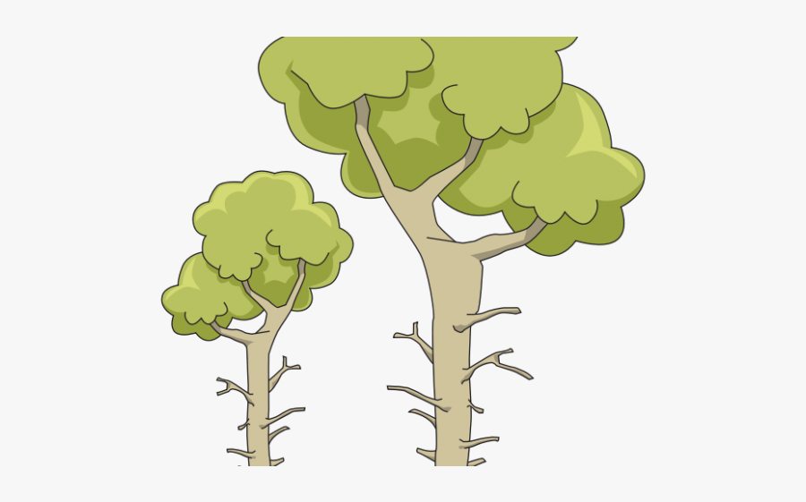 Tree, Transparent Clipart