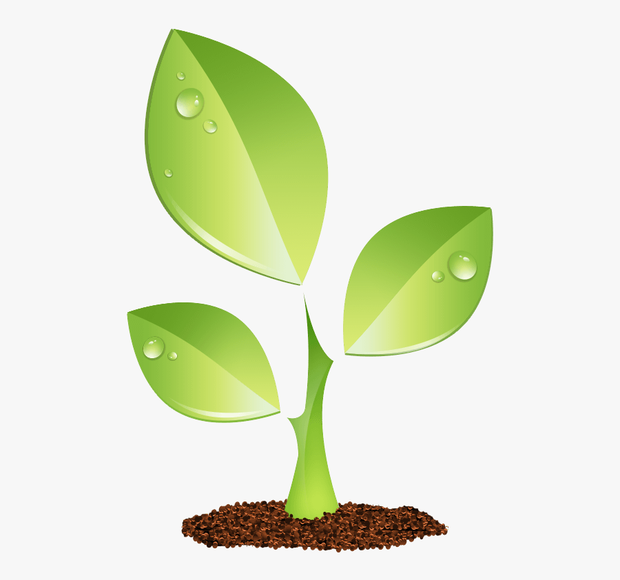 Green Plant Vector Png - Logo For Nature Club, Transparent Clipart