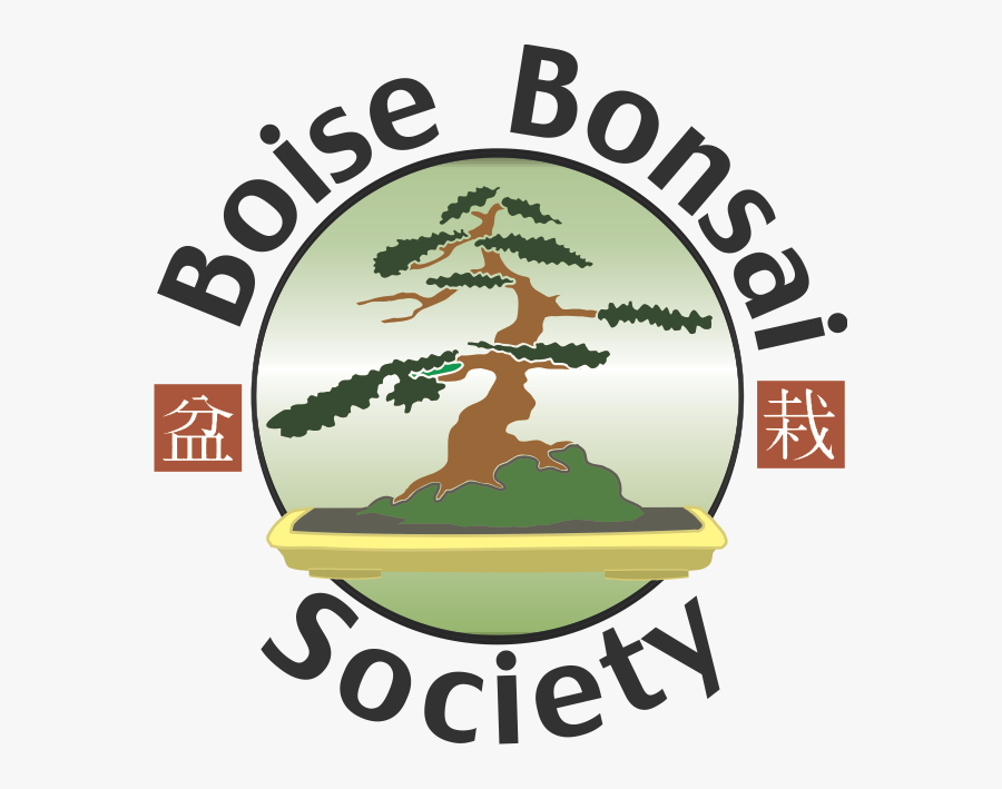 Transparent Bonsai Tree Clipart - Ancient Asian Culture Bonsai, Transparent Clipart