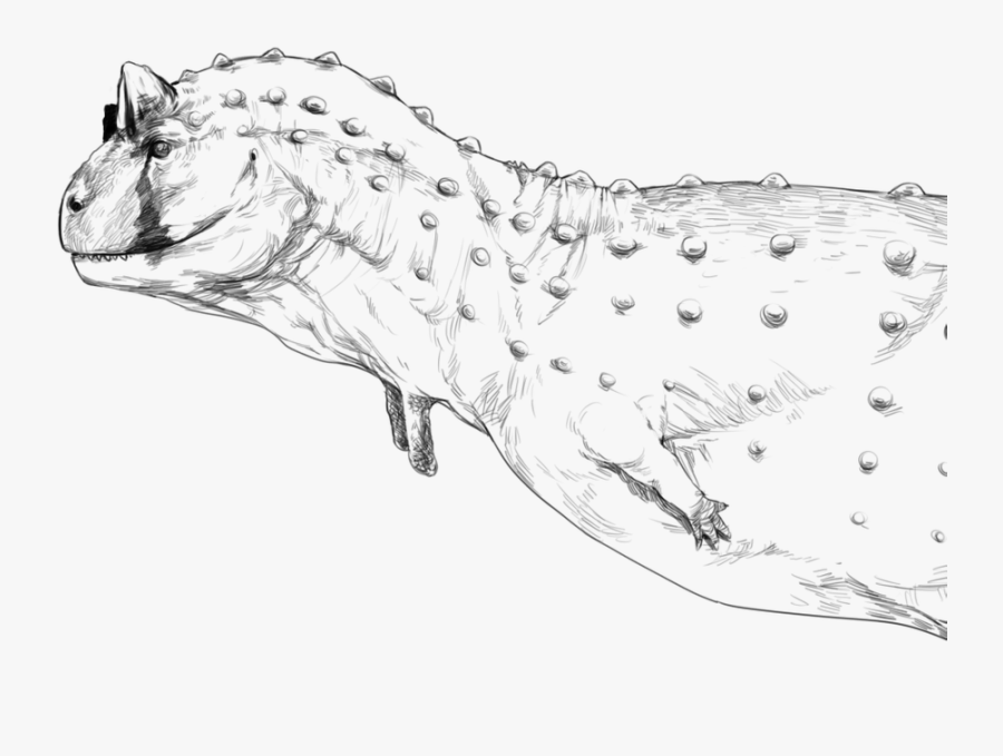 Paleontologist Lineart - Sketch, Transparent Clipart