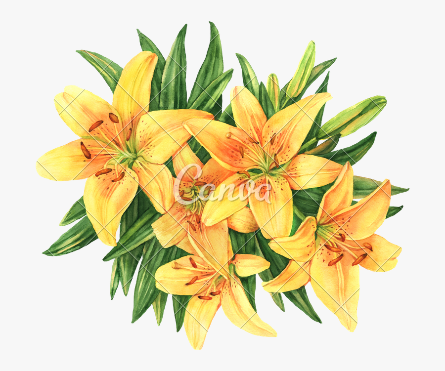 Label Untitled Design Art - Watercolor Edelweiss Flower, Transparent Clipart