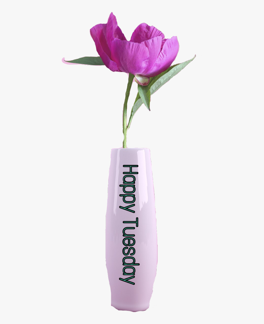 Sctuesday Tuesday Happytuesday - Flower Bouquet, Transparent Clipart