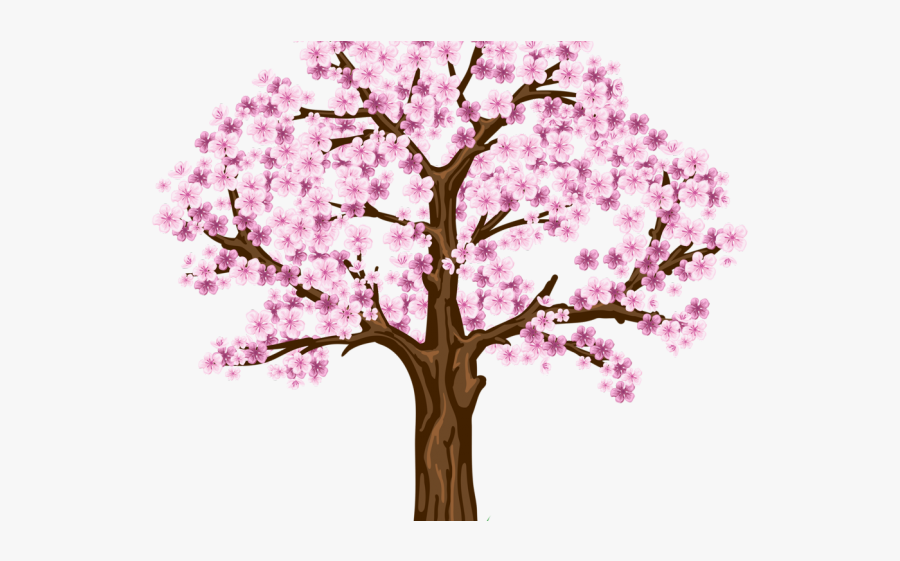 Cherry Blossom Tree Clipart, Transparent Clipart