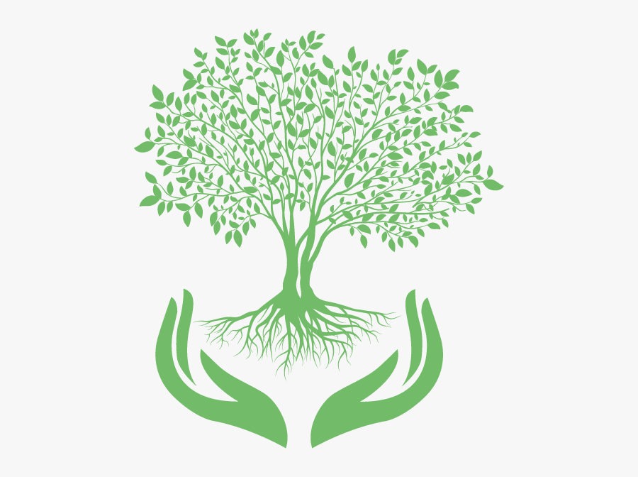Transparent Physical Therapy Clip Art - Tree Vector Background, Transparent Clipart