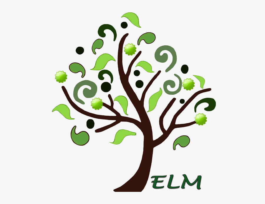 Elm Drawing, Transparent Clipart