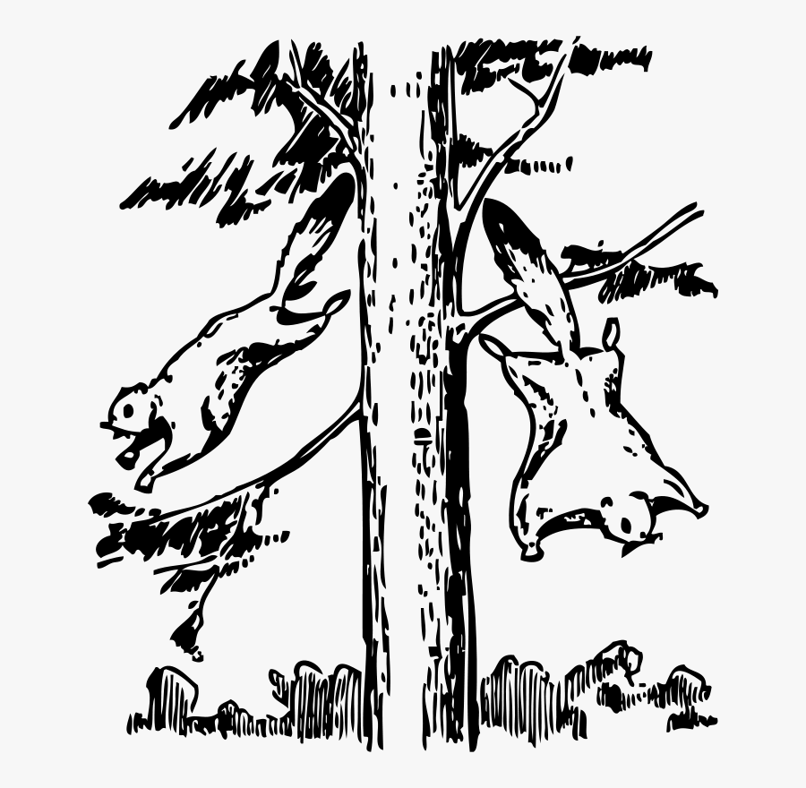 Flying Squirrel Clipart Black And White, Transparent Clipart