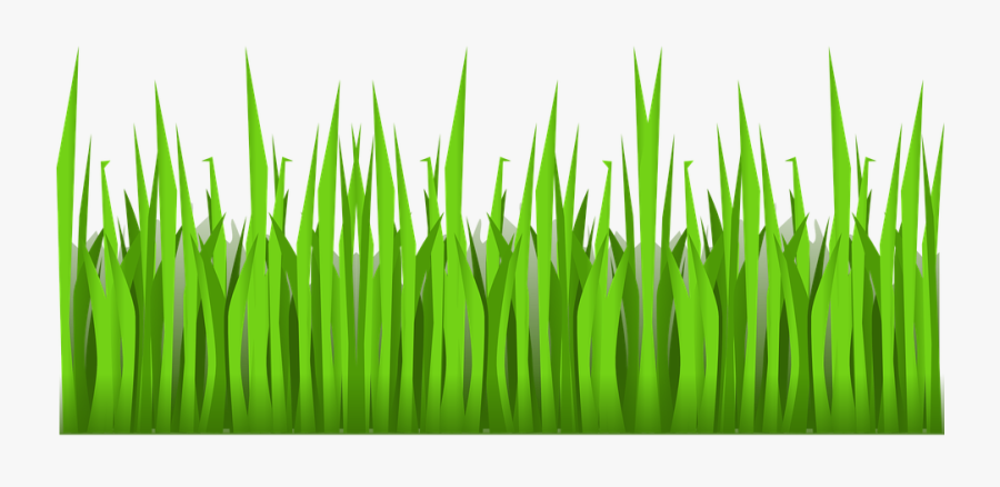 Sea Grass Clipart Turtle Habitat - Grass Png, Transparent Clipart
