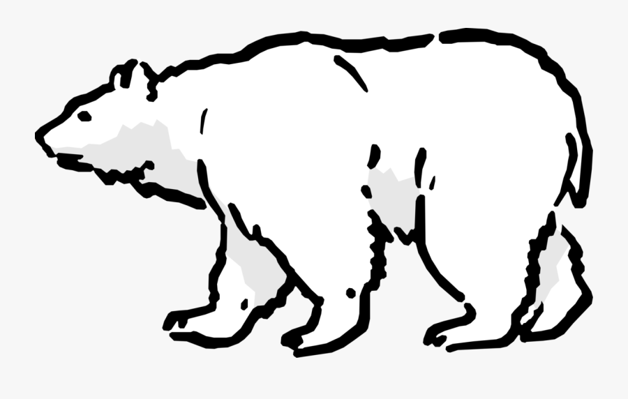 Graphic Black And White Stock Bear Image Illustration - Arctic Animal Science Journal, Transparent Clipart
