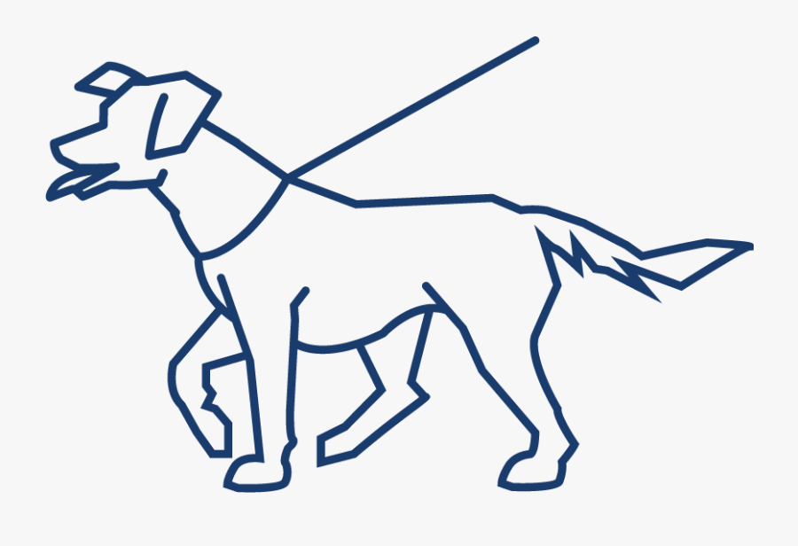 Longer Walks, Hikes Or Runs 3-5 Times Per Week - Dog, Transparent Clipart