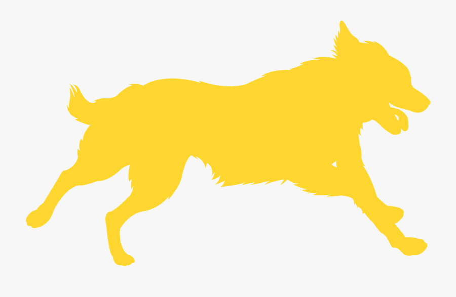 Dog Catches Something, Transparent Clipart