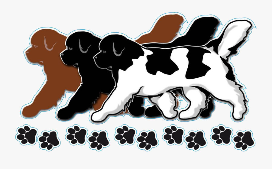 Running Newfoundland Dog Clipart, Transparent Clipart