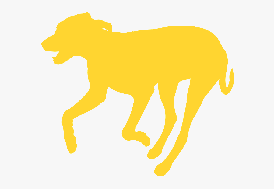 Dog, Transparent Clipart