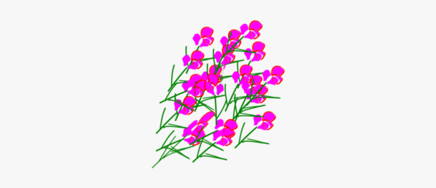 Family Policy Cliparts - Gilliflower, Transparent Clipart