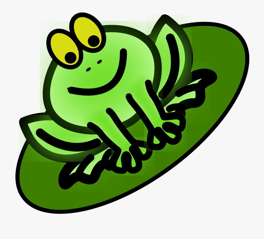 Dibujos De Anfibios A Color, Transparent Clipart