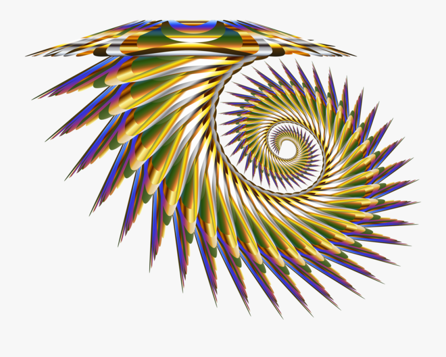 Stock Photography,close Up,symmetry - Graphic Design, Transparent Clipart