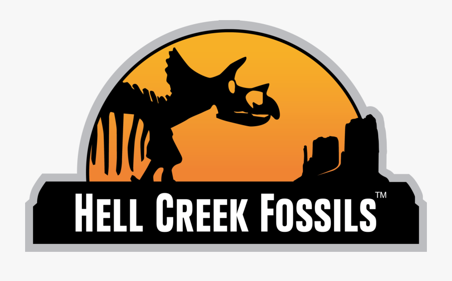 Fossil Clipart Archeologist - Graphic Design, Transparent Clipart