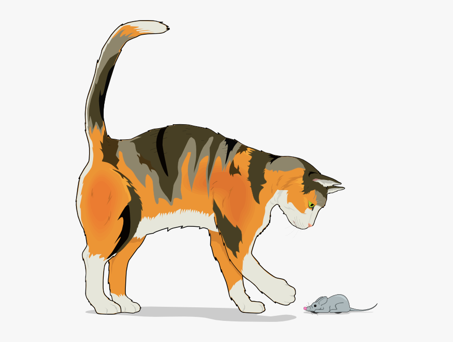 Transparent Cats Clipart Png - Cat Chasing Mouse Clipart, Transparent Clipart