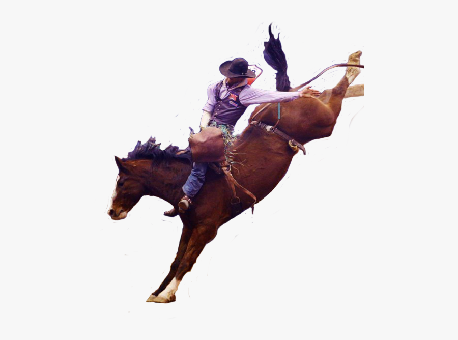 Clip Art Gs Long S Hell - Stallion, Transparent Clipart