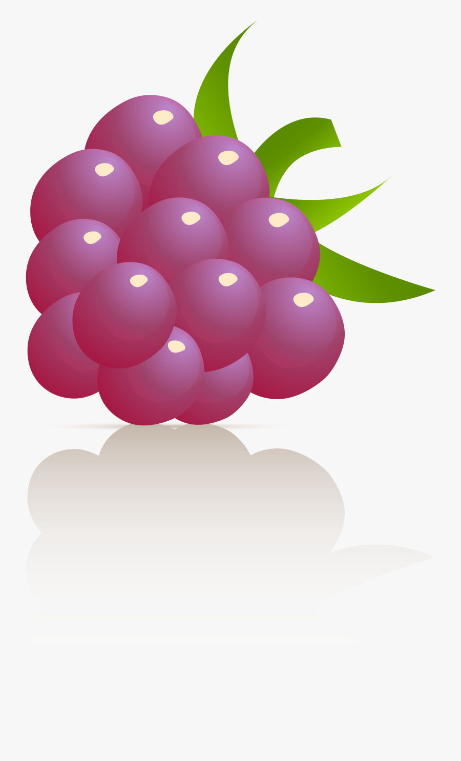 Seedless Fruit, Transparent Clipart