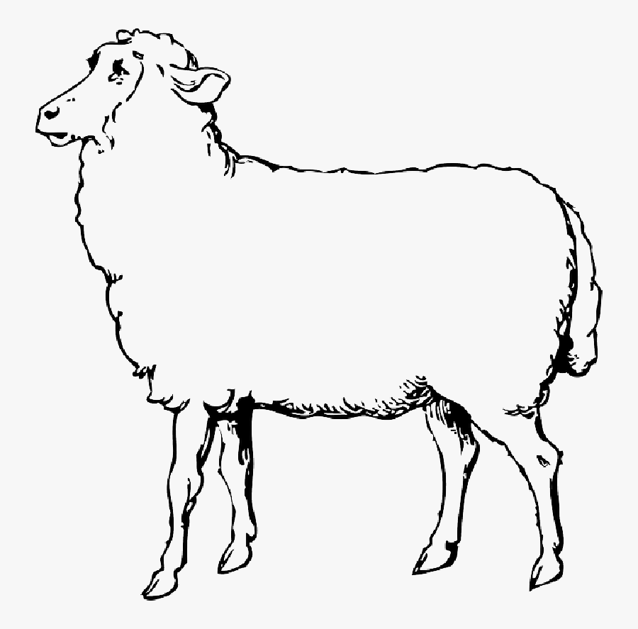 Sheep Black And White, Transparent Clipart