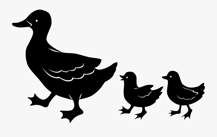 Duck, Chicks, Mother, Ducklings, Duckling, Silhouettes - Duck Silhouette Family, Transparent Clipart