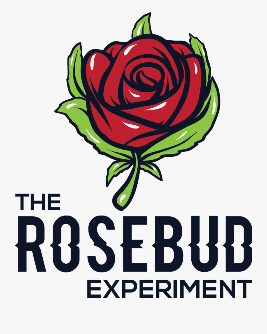 Big Brother Brasil 15 , Png Download - Garden Roses, Transparent Clipart