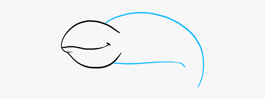 Drawn Cameleon Step By Step - Drawing, Transparent Clipart