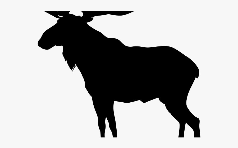 Monty Pyton Moose T Shirt, Transparent Clipart