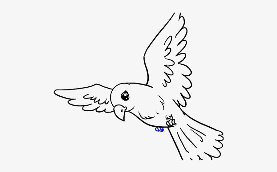 Drawing Pictures Of Birds, Transparent Clipart