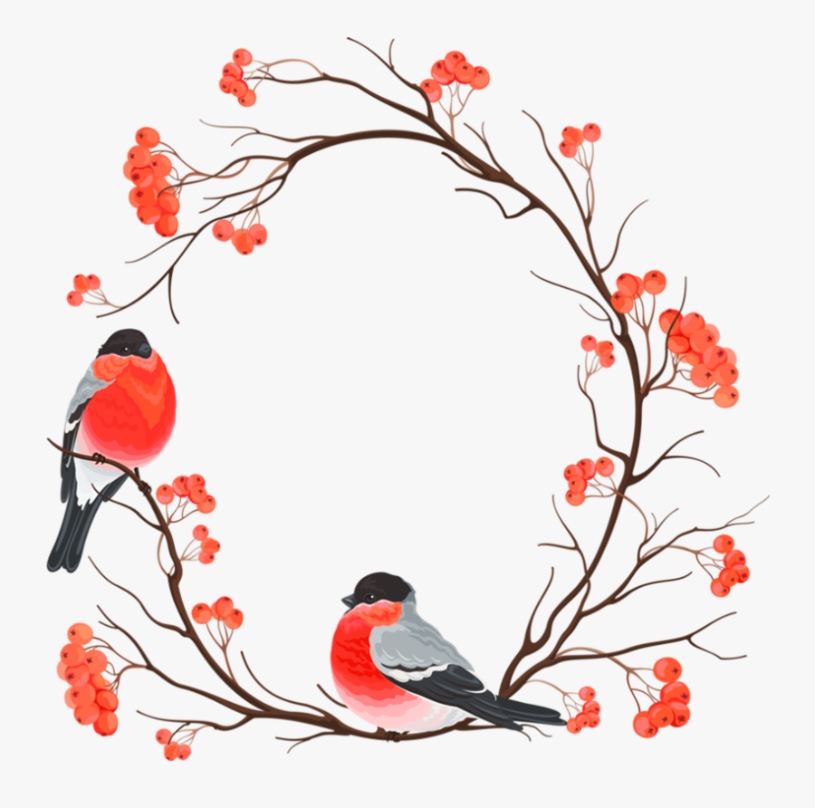 #birds #branches #leaves #fall #autumn #wreath #frame - Снегирь Эскиз, Transparent Clipart