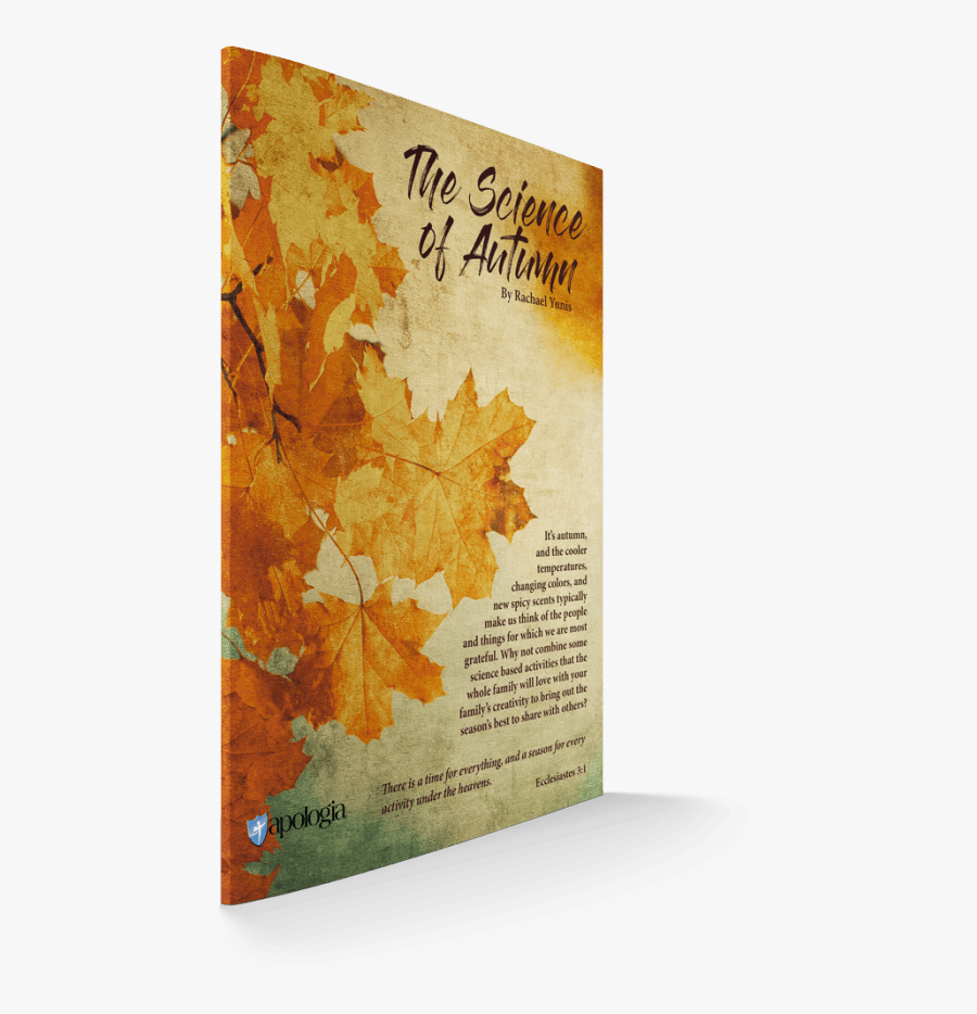 A Crystallized Autumn Wreath And A Creative Autumn - Autumn, Transparent Clipart